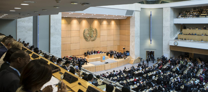 Comenzó la 71ª Asamblea Mundial de la Salud en Ginebra