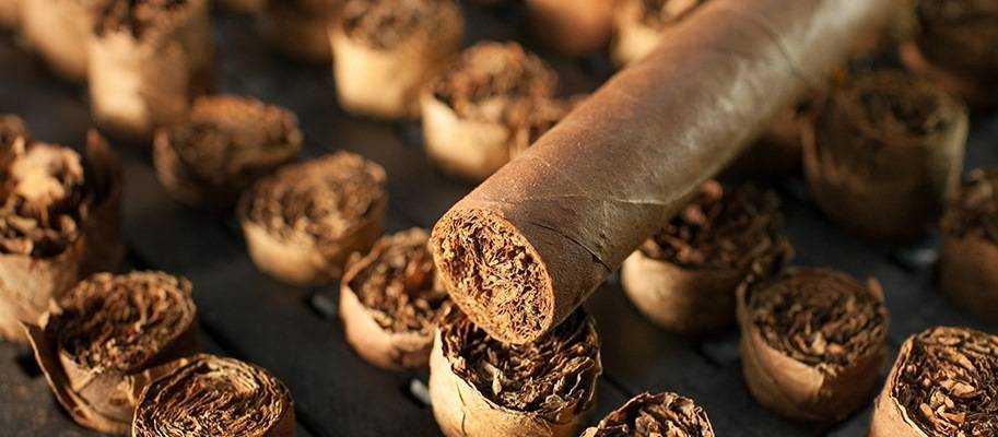 Apoya apelación someterá la RD ante la OMC por caso empaquetado genérico de cigarros