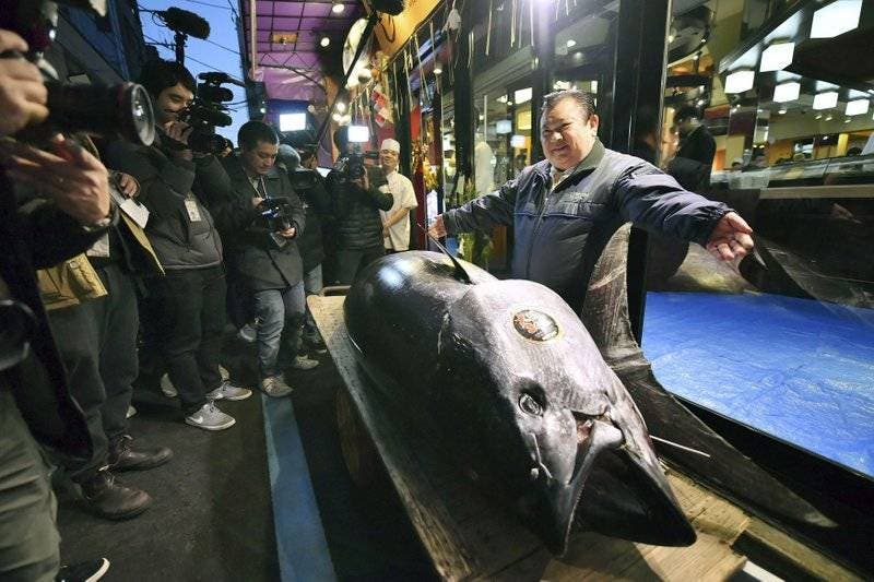 Un atún de aleta azul de 278 kilogramos es vendido en un precio récord de 3 millones de dólares