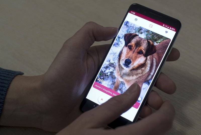 GetPet, nueva app para la adopción de perros similar a Tinder