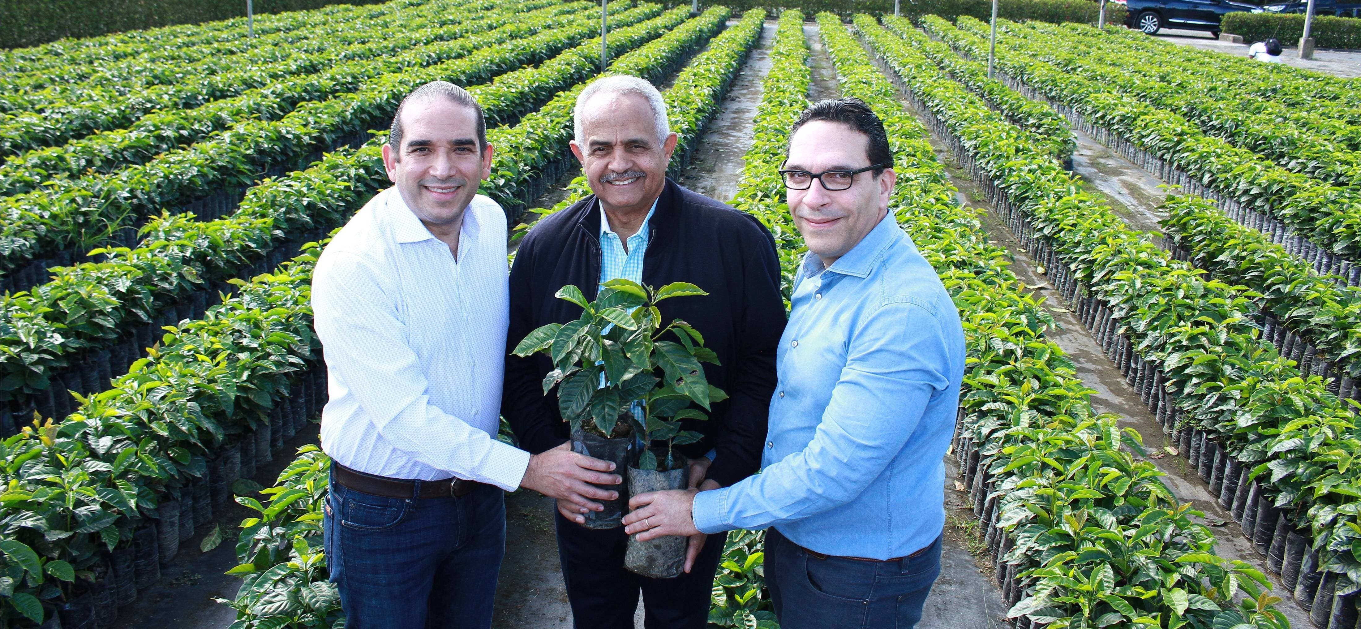 Induban entrega 200 mil plantas de café al Ministerio de Agricultura