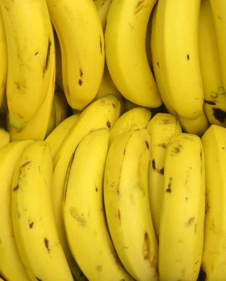 Insta a fabricar productos con banano