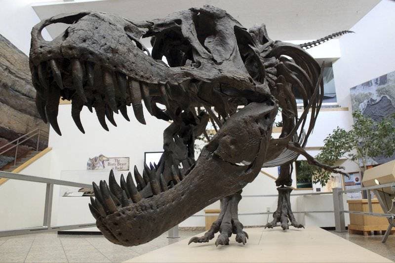 Estudio detalla cómo fue el último día de los dinosaurios en la Tierra