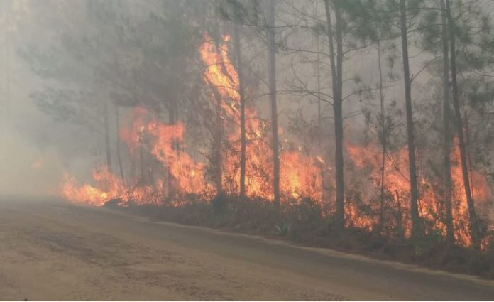 Así va el incendio que afecta la Sierra de Bahoruco