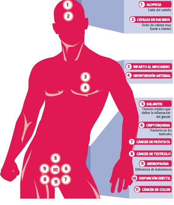 Enfermedades MÁs Comunes En Los Hombres 4889