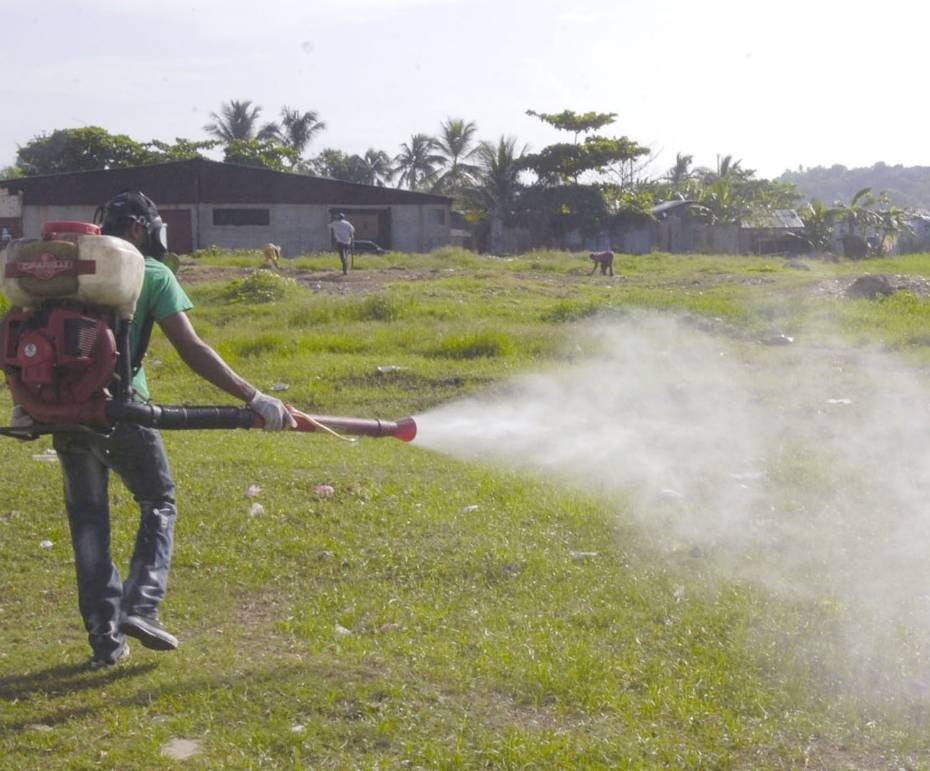 El dengue se expande en República Dominicana y ya tiene en alerta a 21 provincias