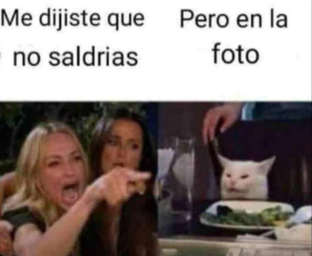 Conozca El Origen Del Meme Viral Del Gato Y La Mujer