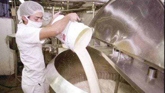 Empresas compran 16% leche a ganaderos y queserías 53%