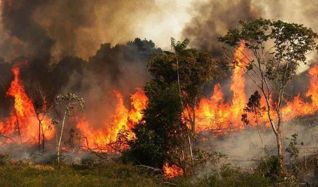 Policía identifica tres sospechosos de causar incendios en la Amazonía