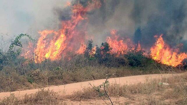 El mundo exige salvar la Amazonía, “pulmón del planeta” asfixiado en llamas