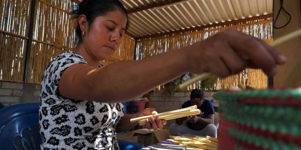 Video: Un taller mexicano fabrica pajillas ecológicas para combatir uso de plástico