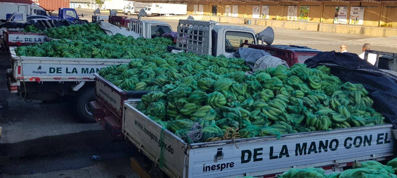 Más de 216 mil personas han sido beneficiadas con programa de ventas de plátanos y guineos implementado por el Gobierno
