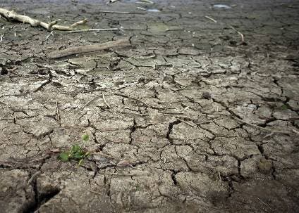 ONU alerta por sequía en Kenia, dice «es grave»