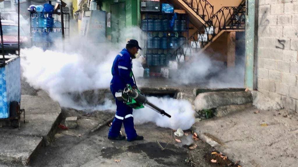 Gonzalo Castillo realiza jornada de fumigación