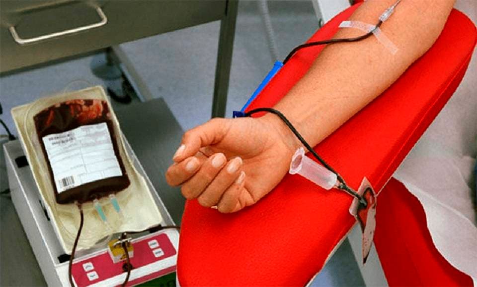 Coronavirus: La OPS advierte sobre posible escasez de sangre durante la pandemia