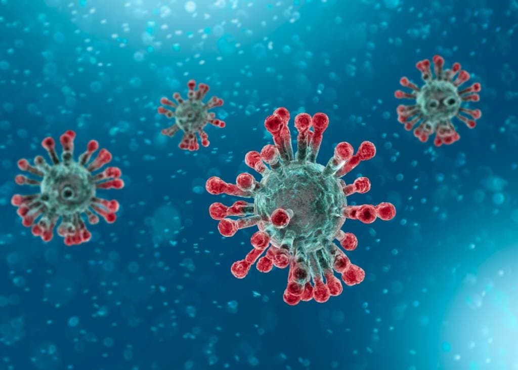 COVID-19: Descubren anticuerpos que bloquean infección del virus