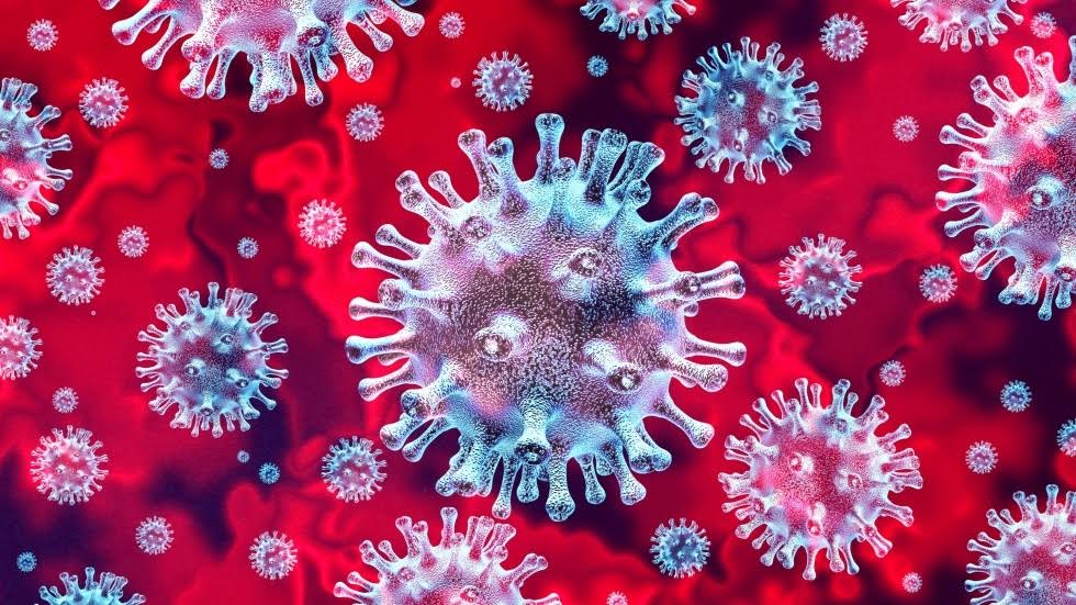 COVID-19: Universidad de Columbia dará a conocer últimas investigaciones sobre el virus