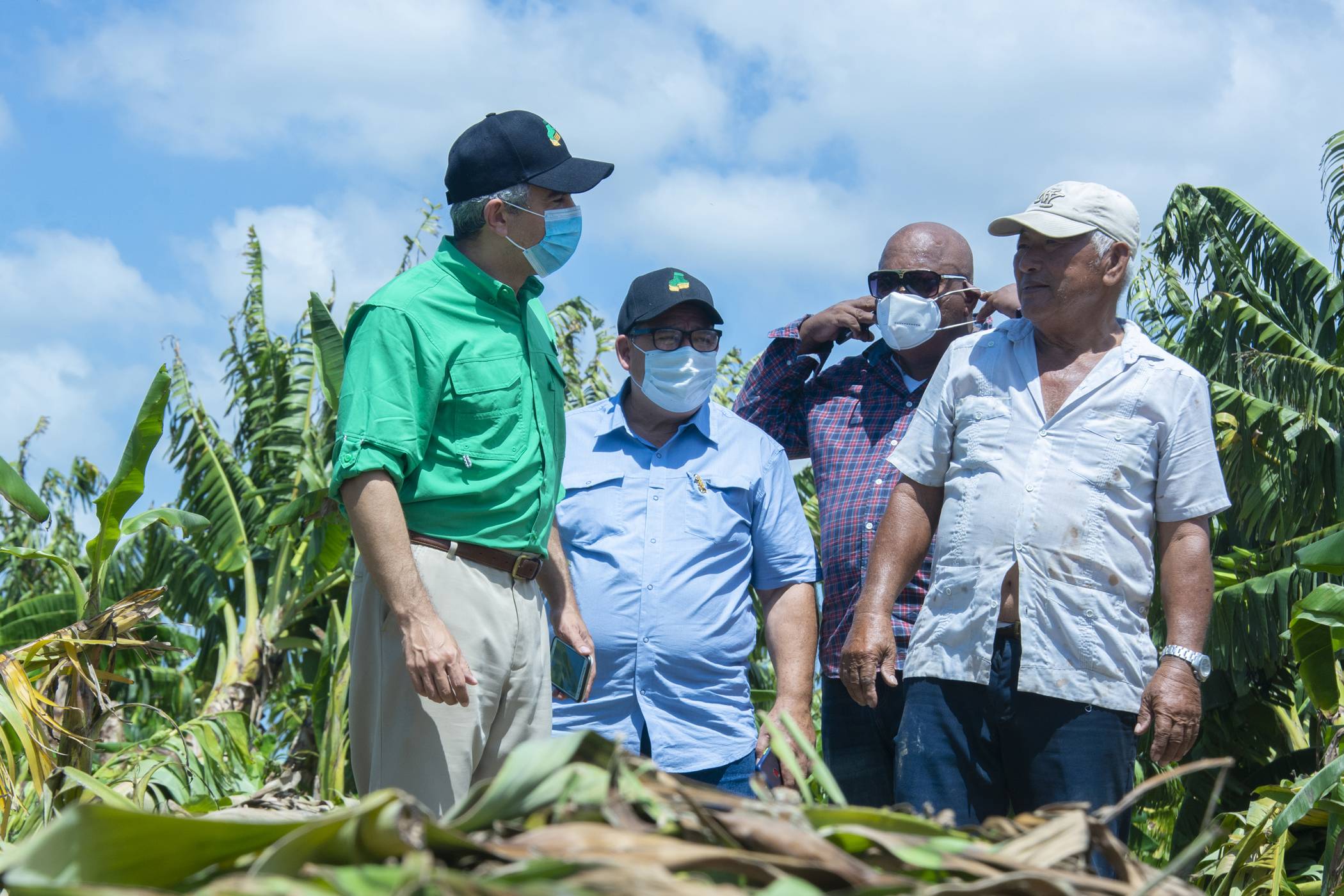 INESPRE compra más de un millón de plátanos a productores afectados por el paso de la tormenta Laura
