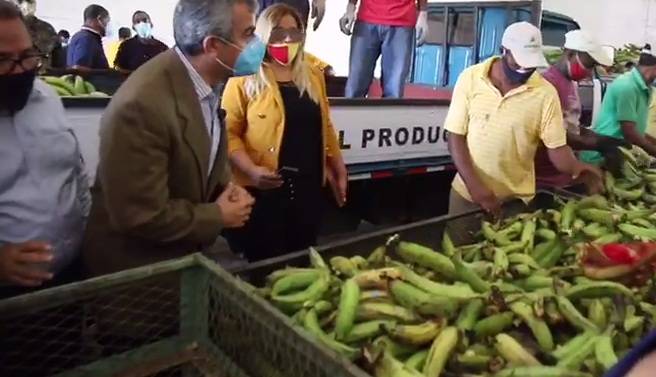 Inespre inicia ventas de plátanos barahoneros a 7 pesos la unidad
