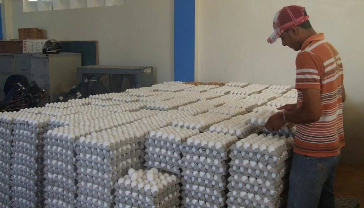 Productores de huevos afirman monopolio los haría quebrar