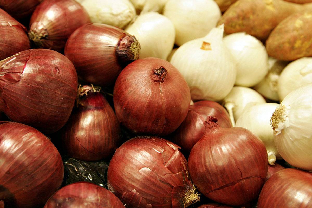 La cebolla: sus beneficios y propiedades nutricionales