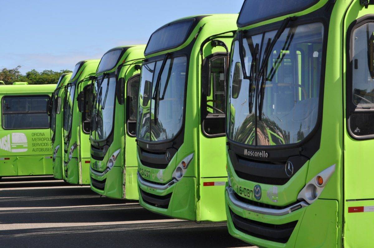 Autobuses de la OMSA circularán este lunes 16 de agosto