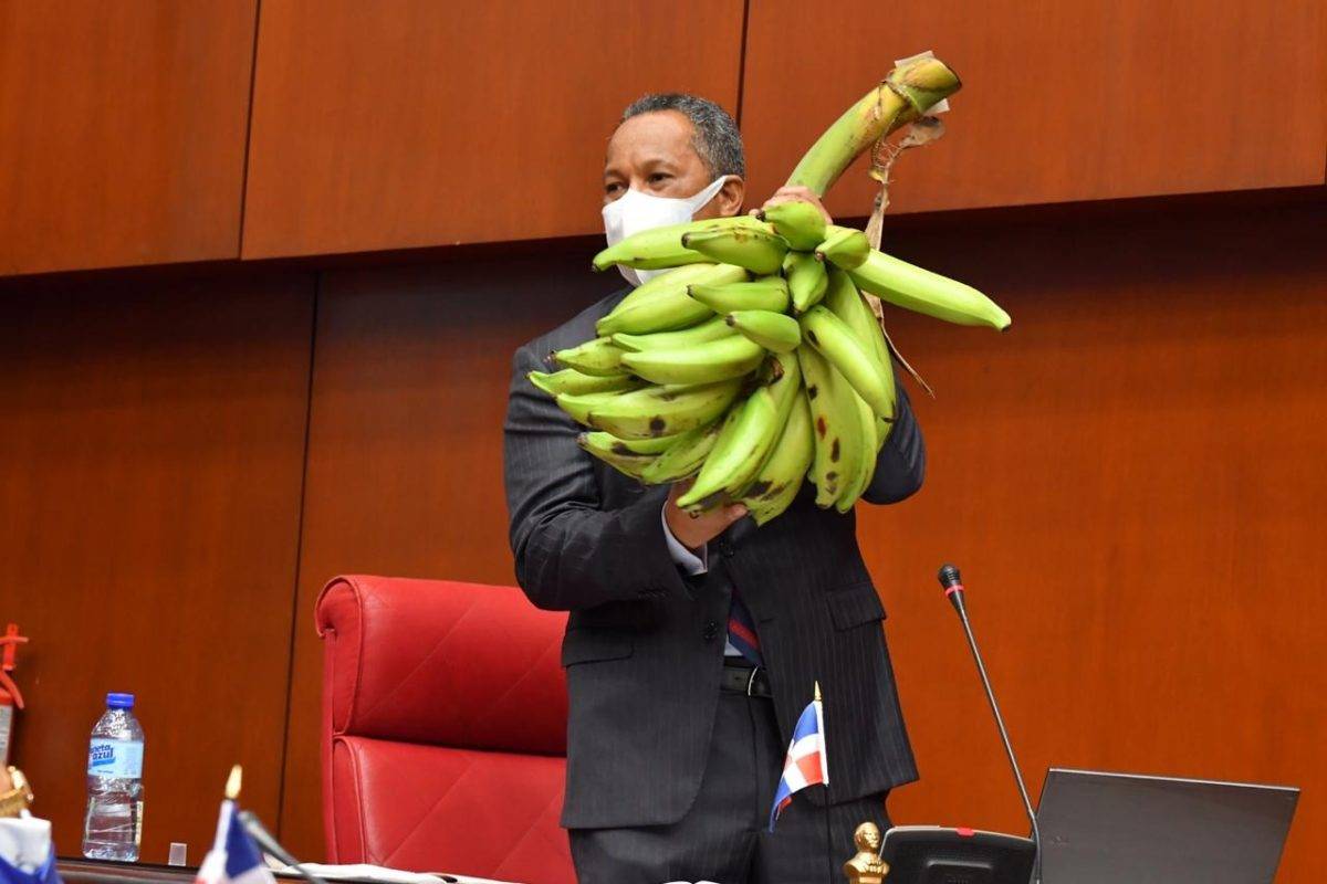Dionis Sánchez lamenta que por falta de planificación en sector agrícola precios de los plátanos sean elevados