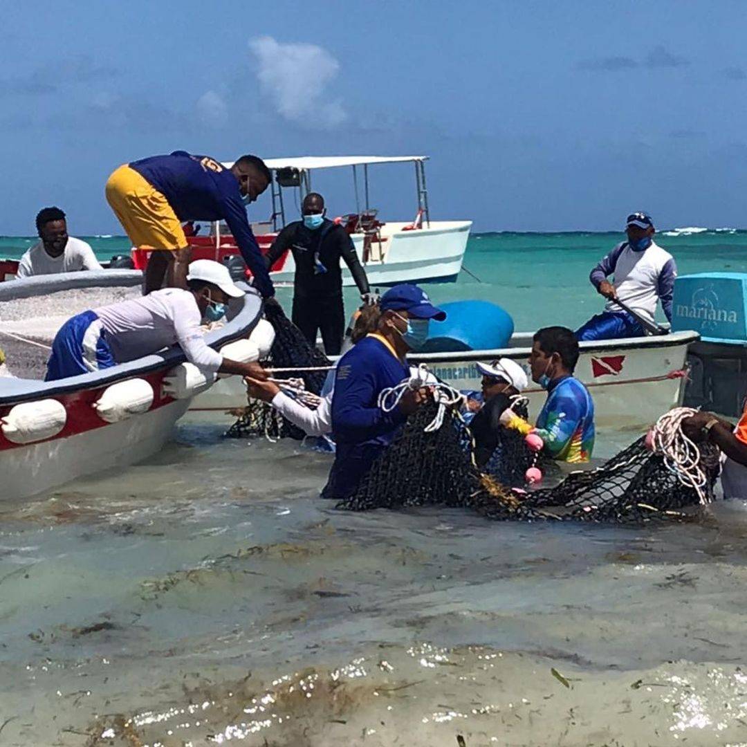 Acuario Nacional rescata una ballena piloto en playa de Bávaro
