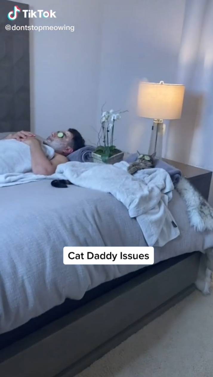 ¡Insólito! Gato intenta morder a su dueña por interrumpir su sesión de «spa»