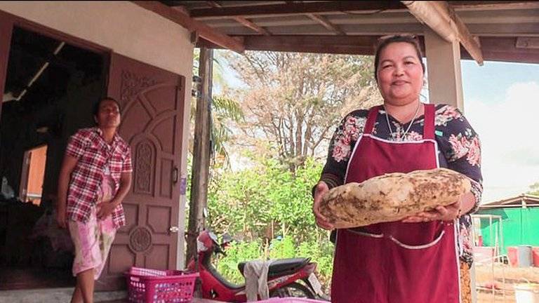 Mujer halló 7 kilos de vómito de ballena valuados en USD 260.000