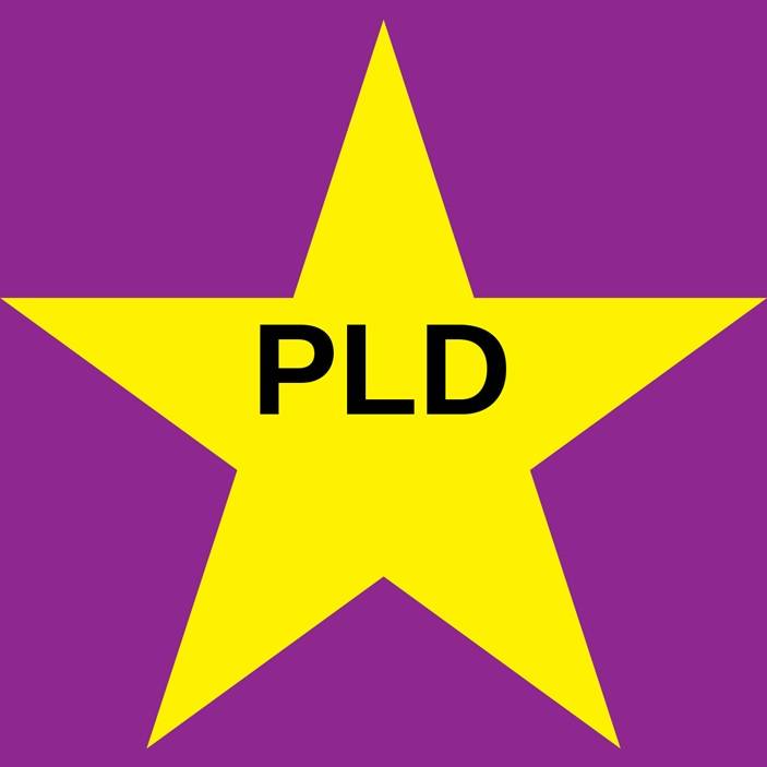 PLD inicia en NY programa formación liderazgo para el exterior
