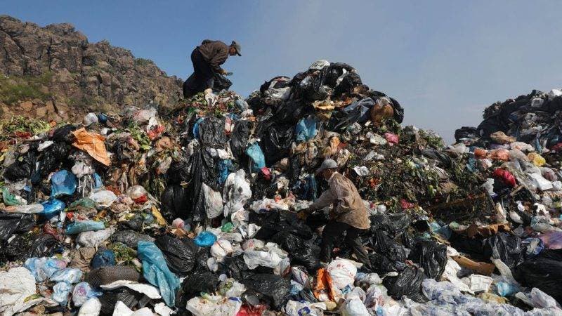 Dia Mundial del Medioambiente 26