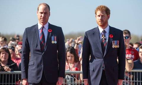 Los príncipes Guillermo y Harry no caminarán juntos en el funeral  del duque de Edimburgo