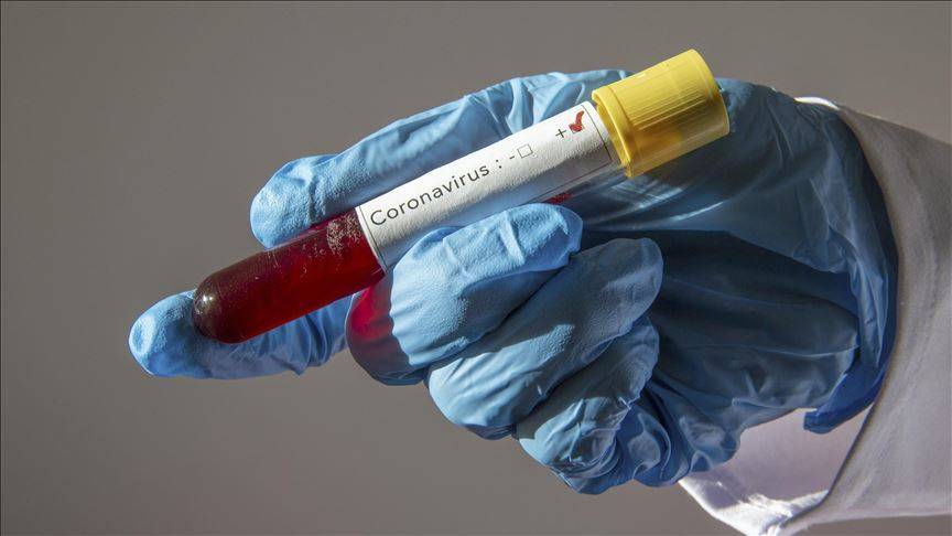 731 nuevos casos positivos al coronavirus y 7 defunciones
