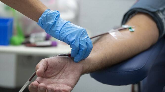 ¿Los vacunados contra la covid-19 pueden donar sangre?