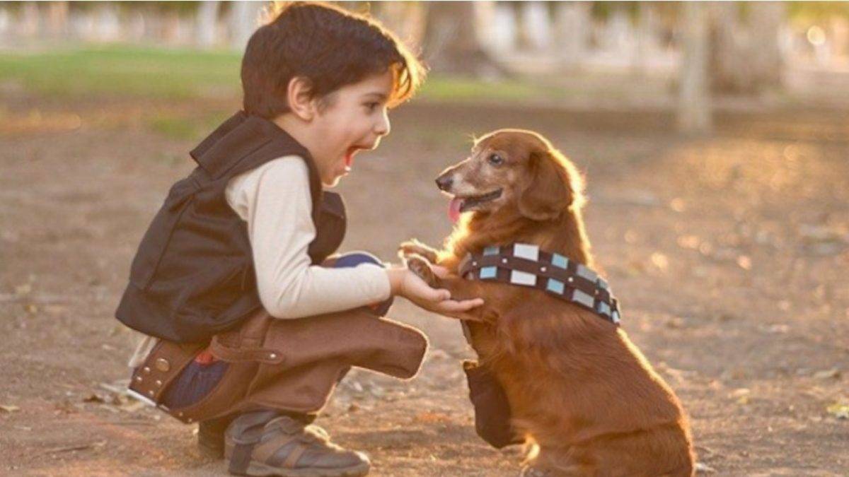 Los perros nacen preparados para comunicarse con las personas