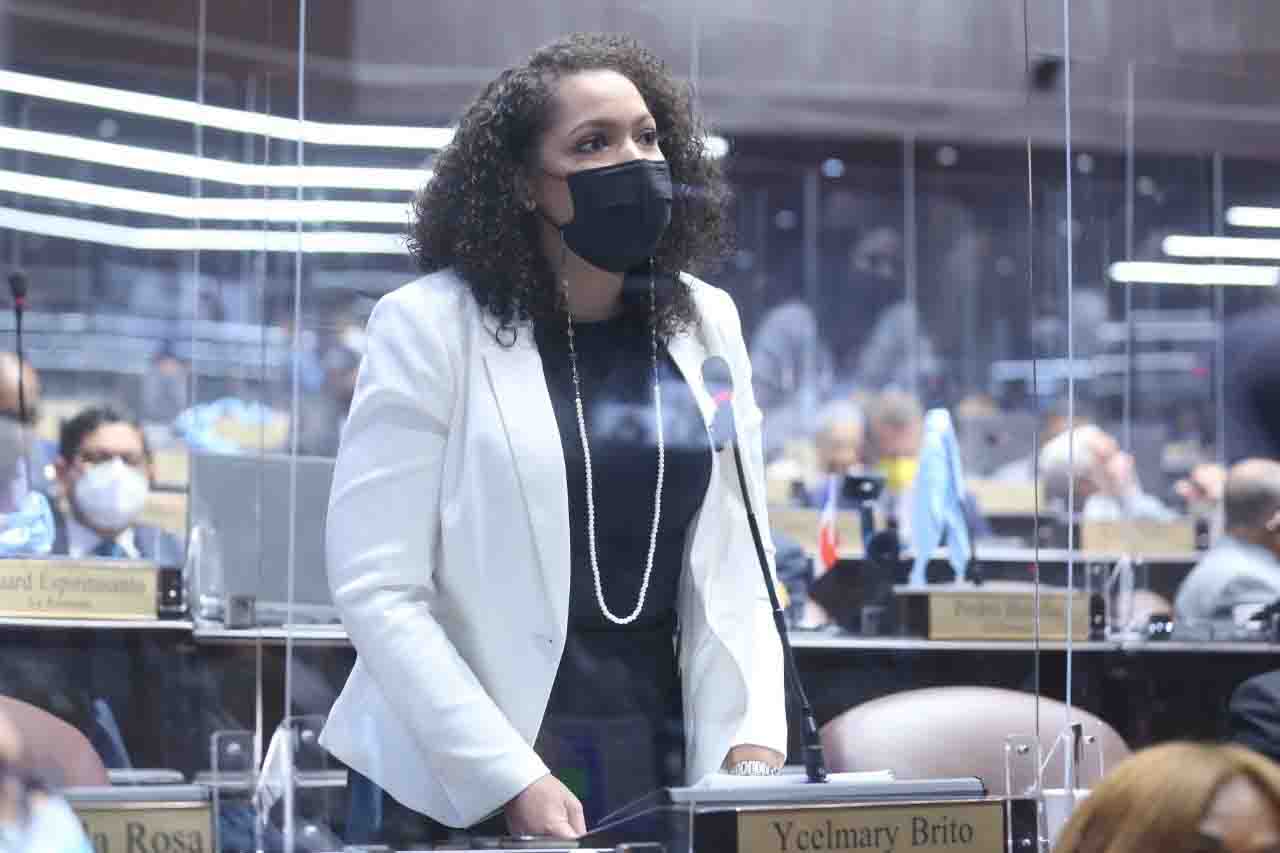 Juliana O’Neal, Novata del Año de los representantes de SDE en la Cámara de Diputados