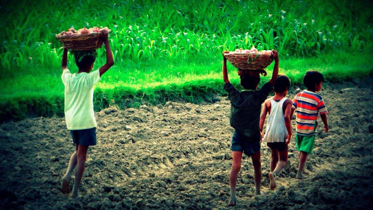 RD avanza en la eliminación del trabajo infantil
