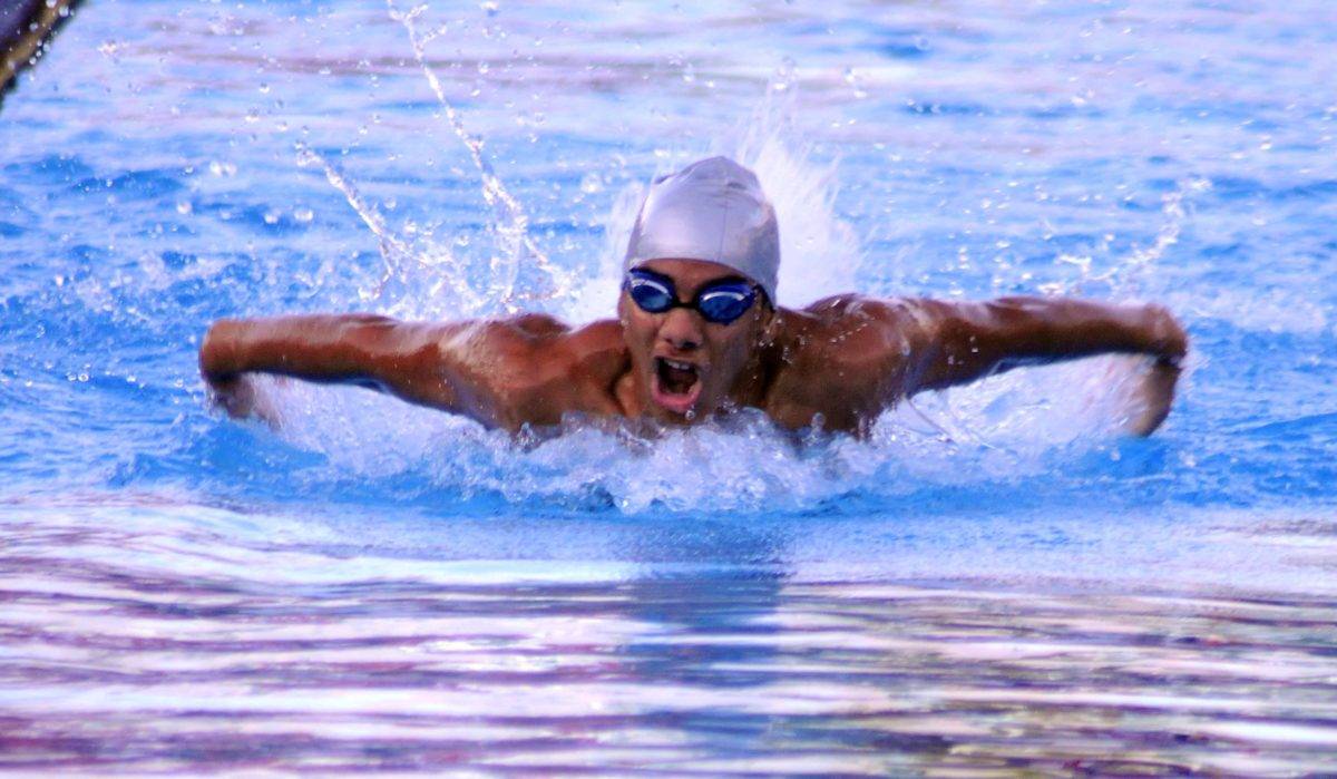 Nadadores Delfines  ganan preseas de  oro
