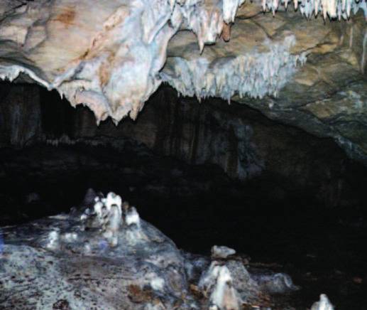 Abinader crea comisión para convertir Cuevas del Pomier en Capital Prehistórica