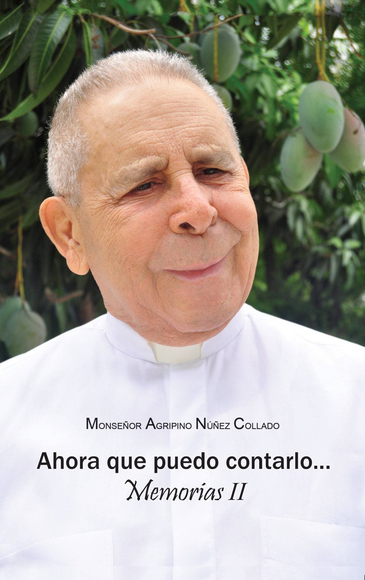 Abinader asistirá a presentación de las memorias de monseñor Agripino Núñez Collado