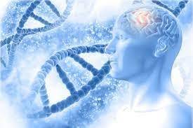 Hallan posibles biomarcadores para conocer el daño neuronal en el alzheimer