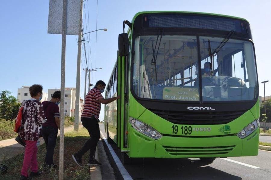 Omsa dará transporte gratis primero enero