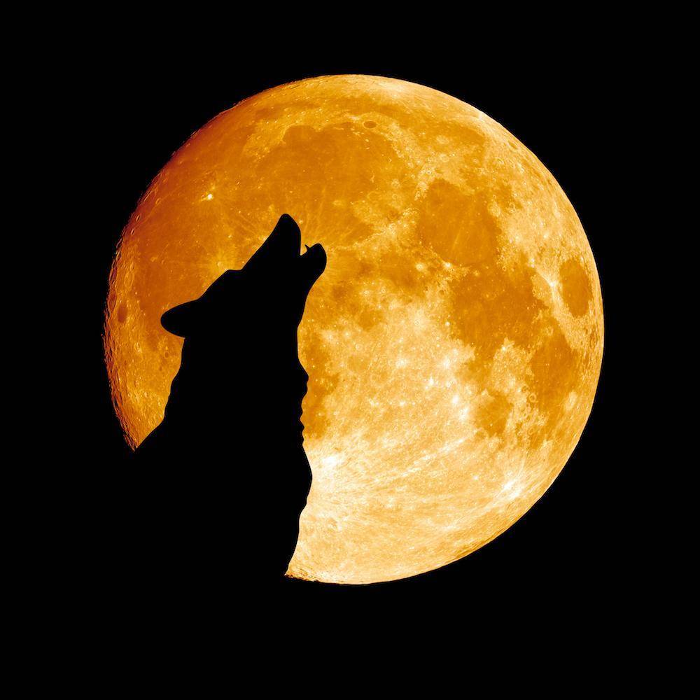La Luna de Lobo: ¿qué es y cuándo verla?