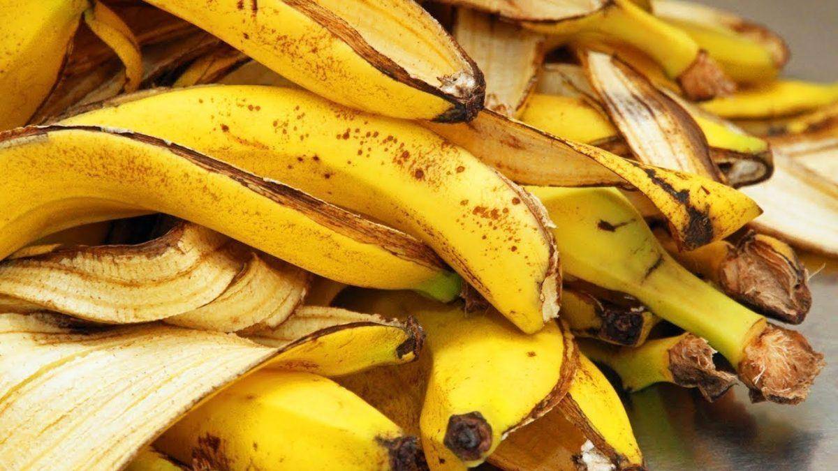 Científicos logran obtener hidrógeno a partir de cáscaras de plátano