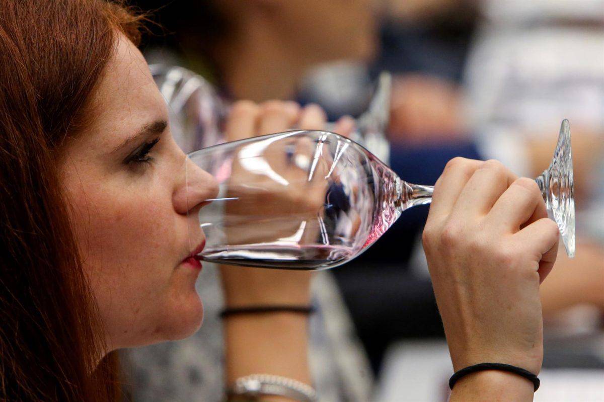 Organización del Vino teme medidas para desalentar su consumo