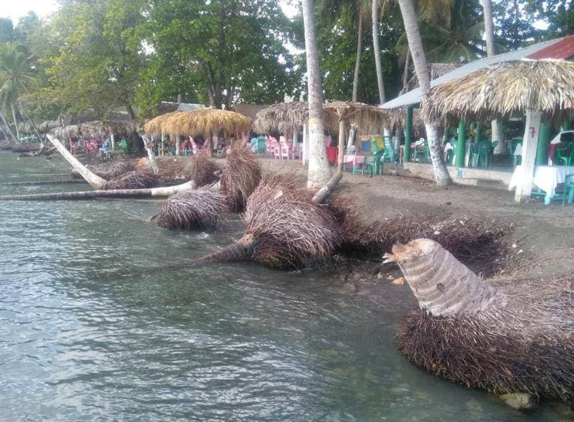 Playa de Palenque: Embate del mar causa estragos