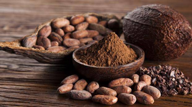 ¿Cáncer?, mira cómo te ayuda el cacao a prevenirlo
