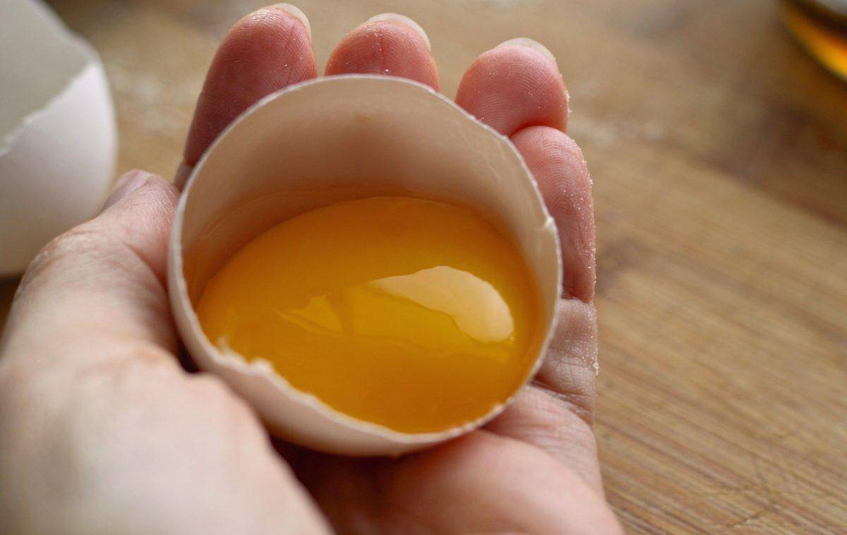 ¿Te gusta la yema de huevo?, mira los motivos para consumirla
