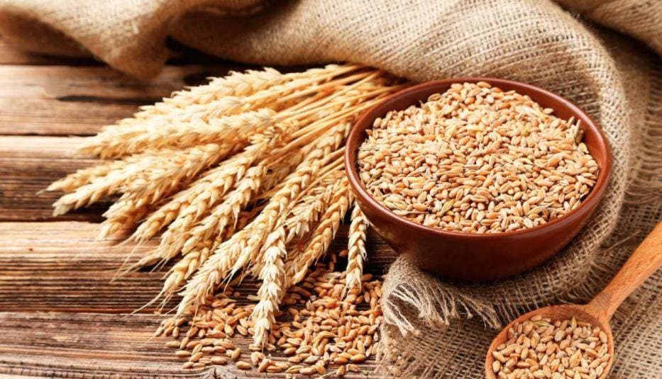 A propósito de alza en precio del trigo, qué alimentos contienen este cereal